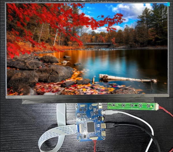 15.6 inch display module